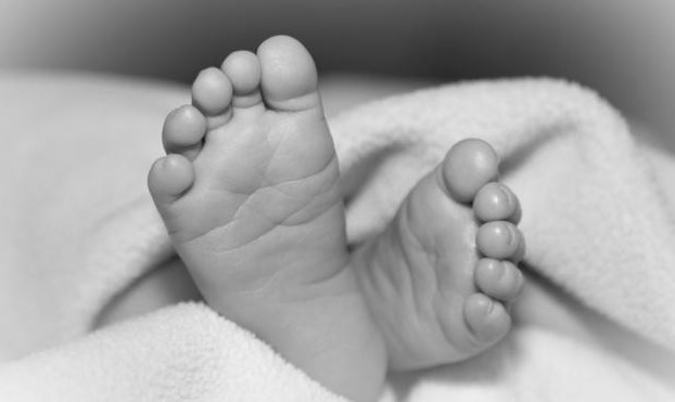 ब्राजिलको पूर्व प्राथमिक विद्यालयमा भएको आक्रमणमा चार बालबालिकाको मृत्यु