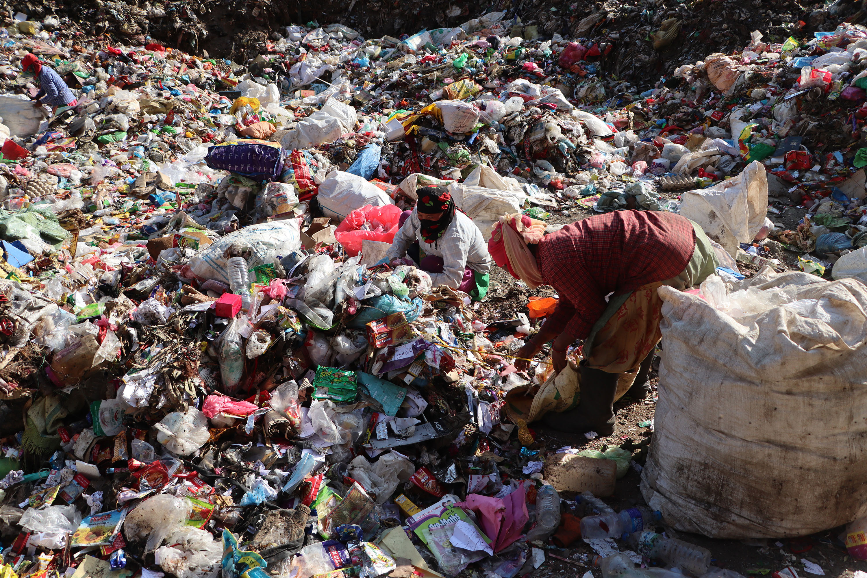 फोहोर छुट्याउँदै