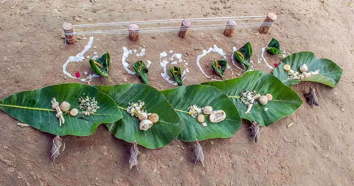धान सप्रियोस् भनेर ‘हरेरी पूजा’