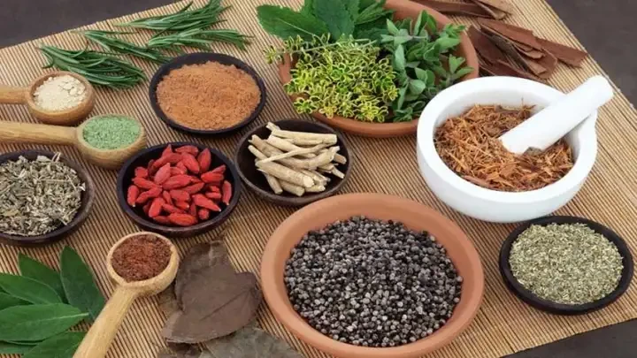 रसुवामा आयुर्वेद उपचार प्रभावकारी