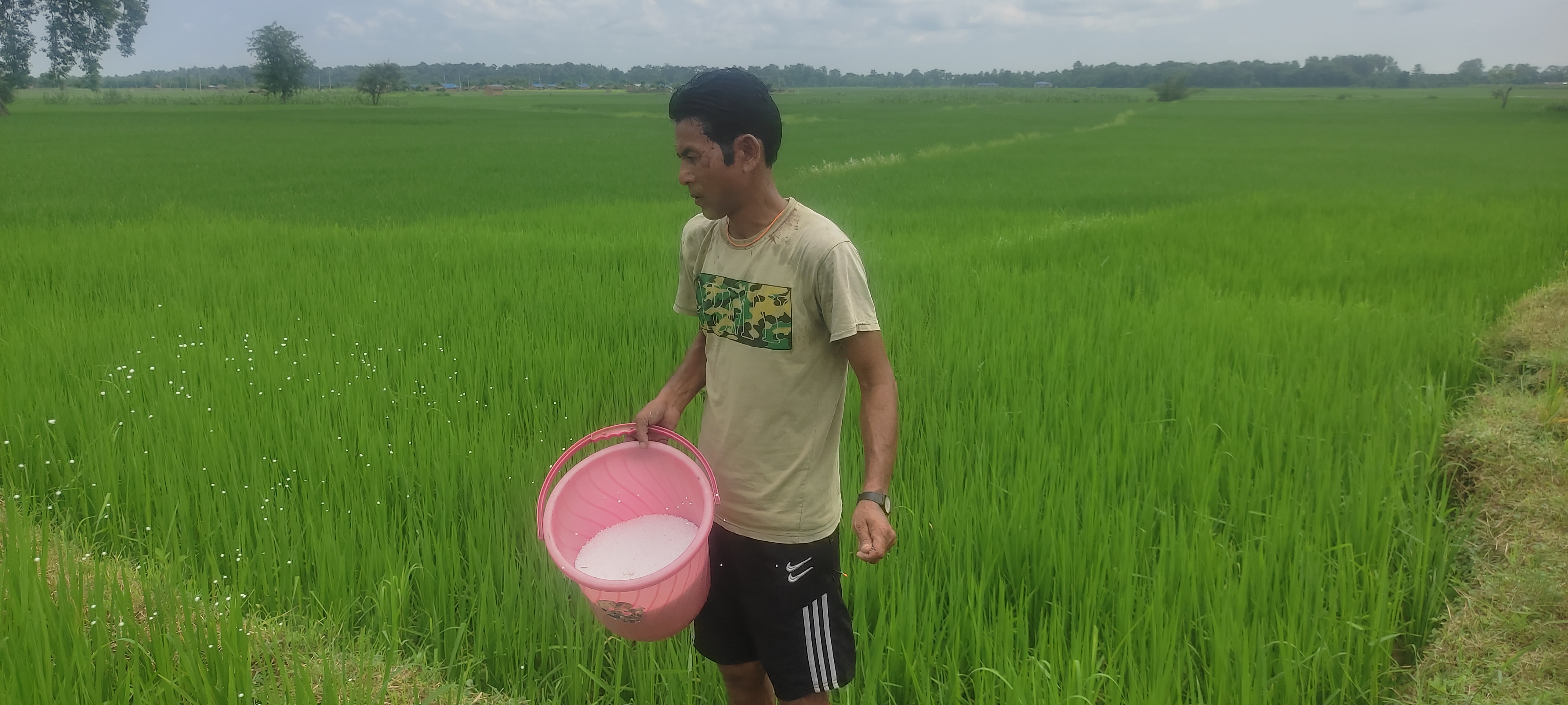 भारतीय मलकै भरमा खेती