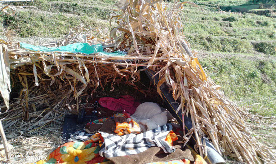 भूकम्पपीडित अझै खुला आकाशमुनि, सुत्केरी र बिरामीको बिजोग