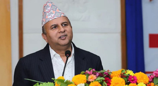 मुलुक विकास नहुनुको कारण राजनीतिक अस्थिरता :महासचिव पोखरेल