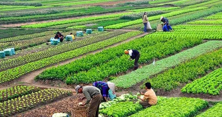 कृषकलाई अनुदानमा कृषि एम्बुलेन्स सहयोग