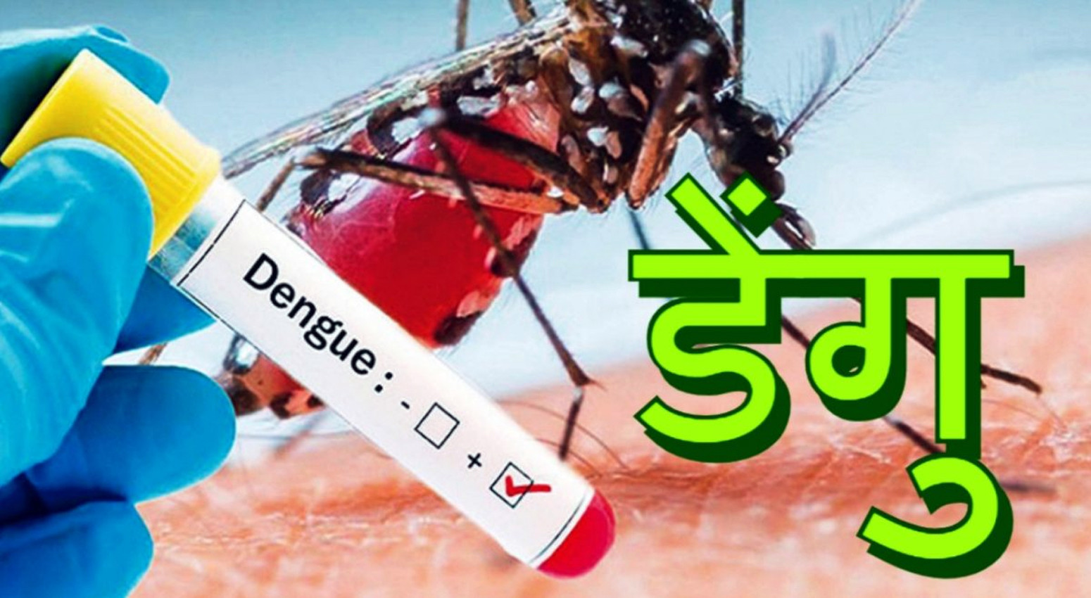 गण्डकीमा डेङ्गु सङ्क्रमितको सङ्ख्या आठ सय बढी पुग्यो