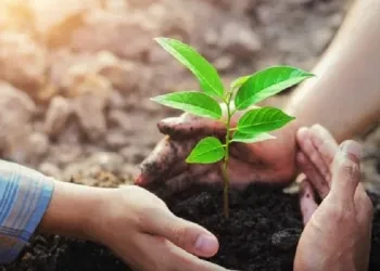 बुटवलमा सरसफाइ तथा वृक्षरोपण अभियान सुरु