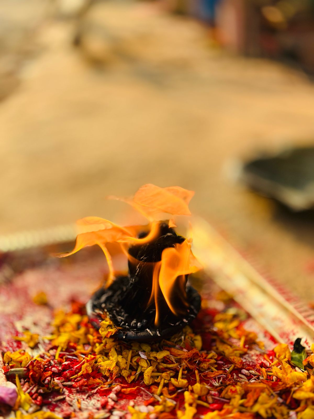 श्रीमद (चण्डीका देबी) भागवत ज्ञान महायज्ञ तथा चन्द्रागीरी धार्मिक महोत्सव २०८०र०८१ को अन्तिम दिनका केहि झलक