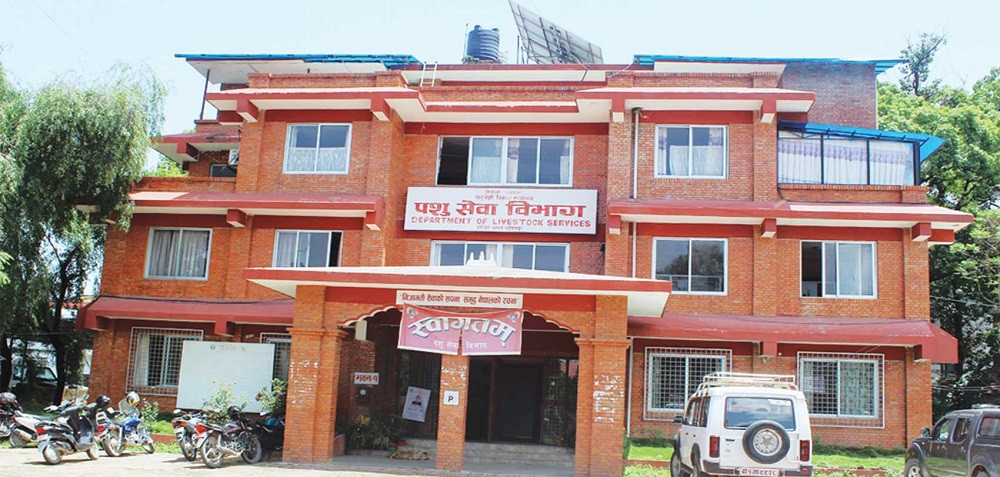 लम्पी स्किन रोग नियन्त्रण गर्न स्थानीय तहलाई आग्रह