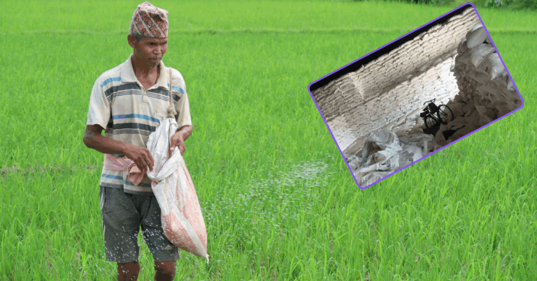 अबका १० दिनमा मल पाइन्छः कृषिमन्त्री