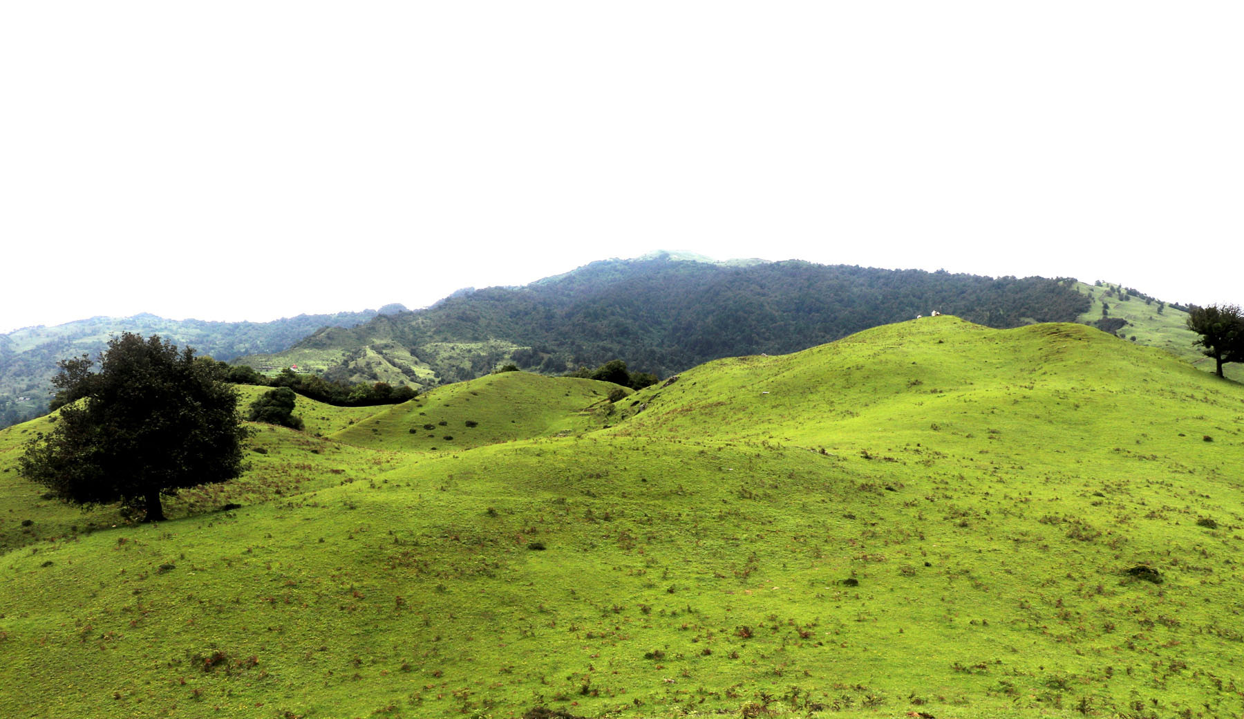 पर्यटकीय क्षेत्र पाँचधारे डाँडा