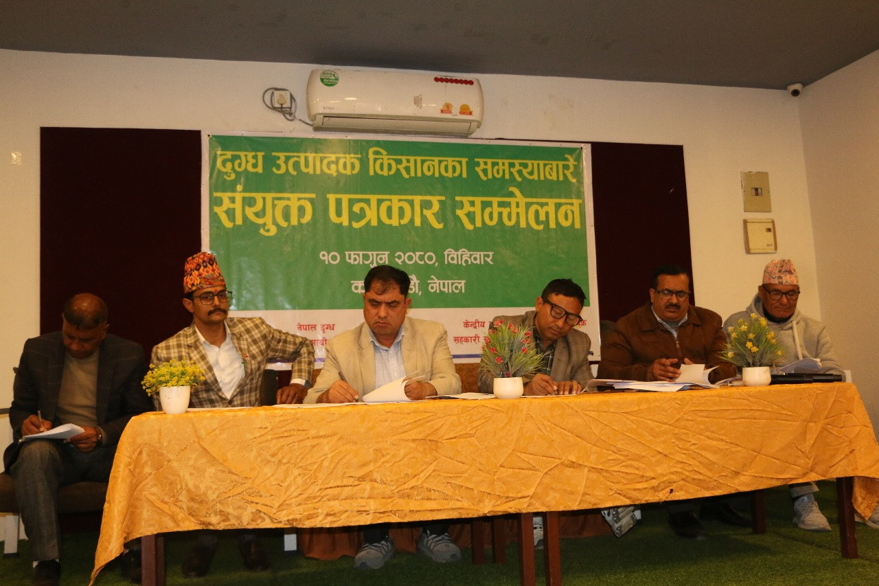 सिंहदरबारमा गोठ  बनाउन पछि हट्दैनौ : दुग्ध उत्पादक किसान