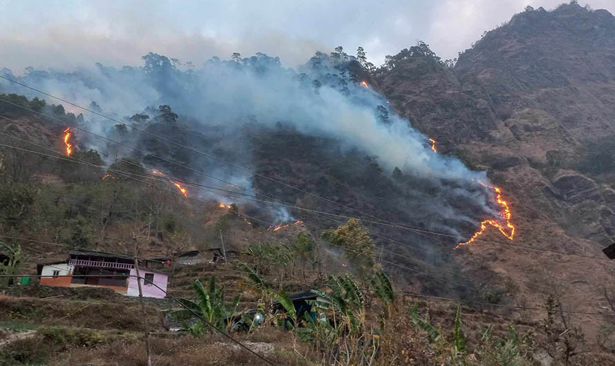 म्याग्दीका ७५ बढी सामुदायिक वनमा डढेलो ,बस्ती पस्दै वन्यजन्तु