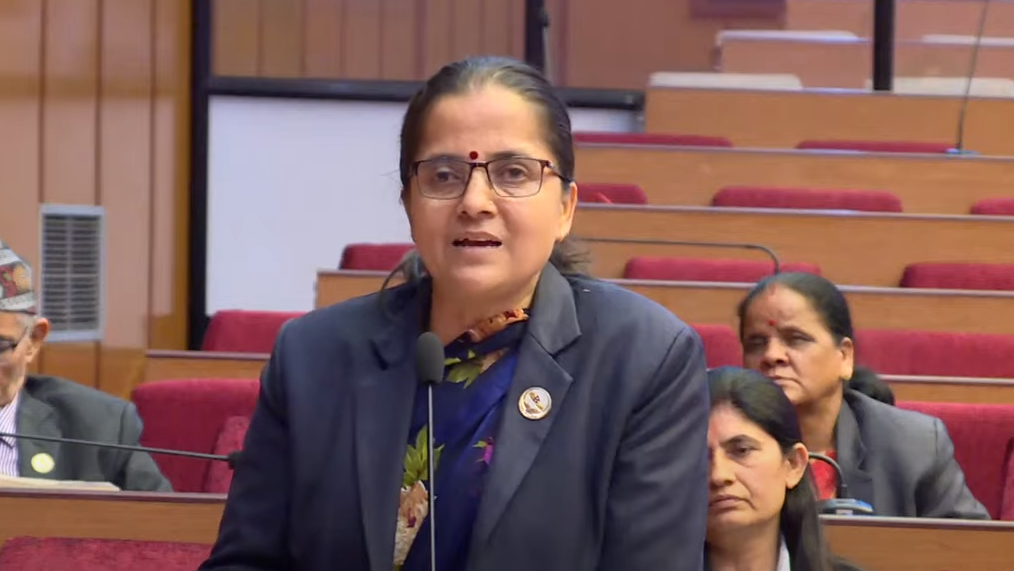 ‘सरकारले समितिको निर्देशन कार्यान्वयन गरेन’