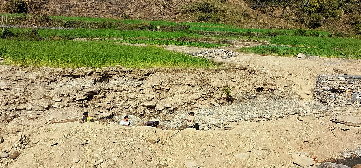 बाँकेमा बाढीबाट बस्ती जोगाउन अस्थायी तटबन्ध