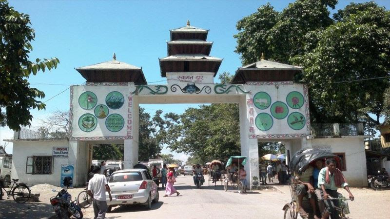 पूर्वी नाकाबाट चार करोडको जडीबुटी निर्यात