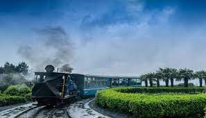 जी–२० को वातावरण मन्त्रीस्तरीय बैठक सम्पन्न, जलवायु सङ्कटबारे आवश्यक सहमति बनाउन नेताहरू असफल