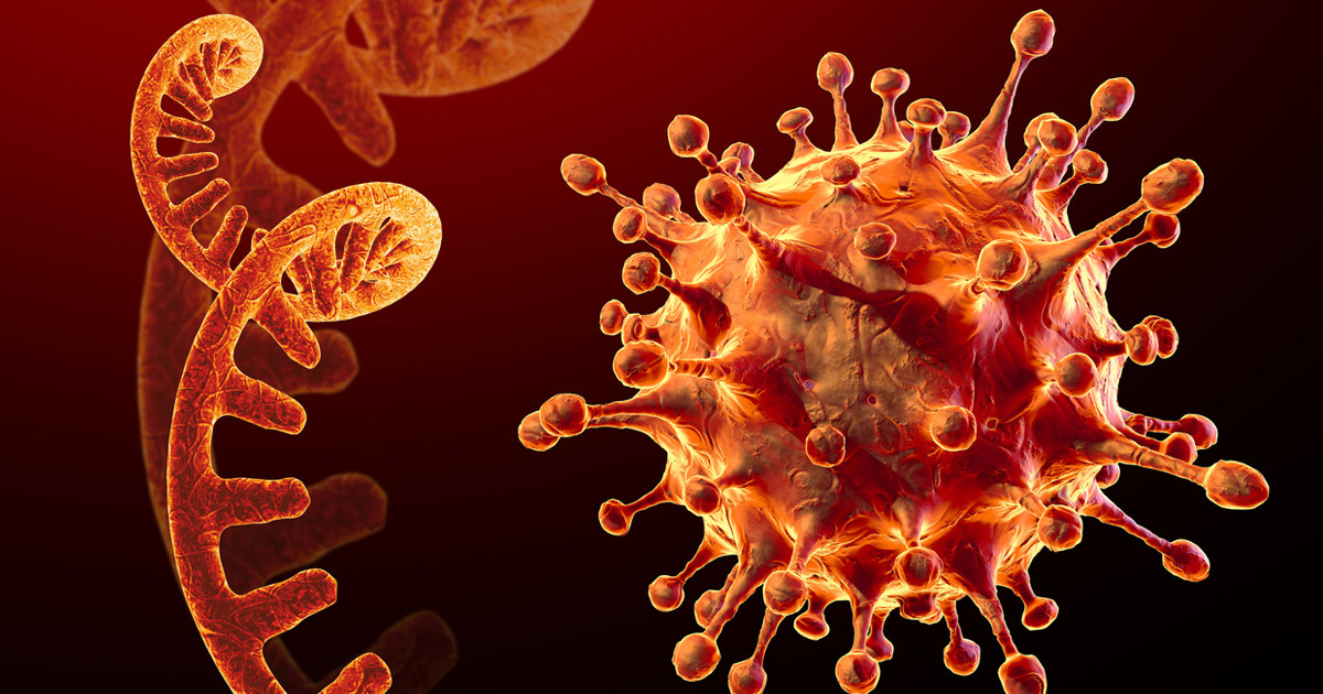 सीमाक्षेत्रमा बढ्यो कोरोना सङ्क्रमण