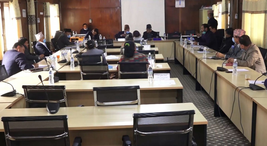 राष्ट्रिय सरोकार समितिको बैठक बस्दै