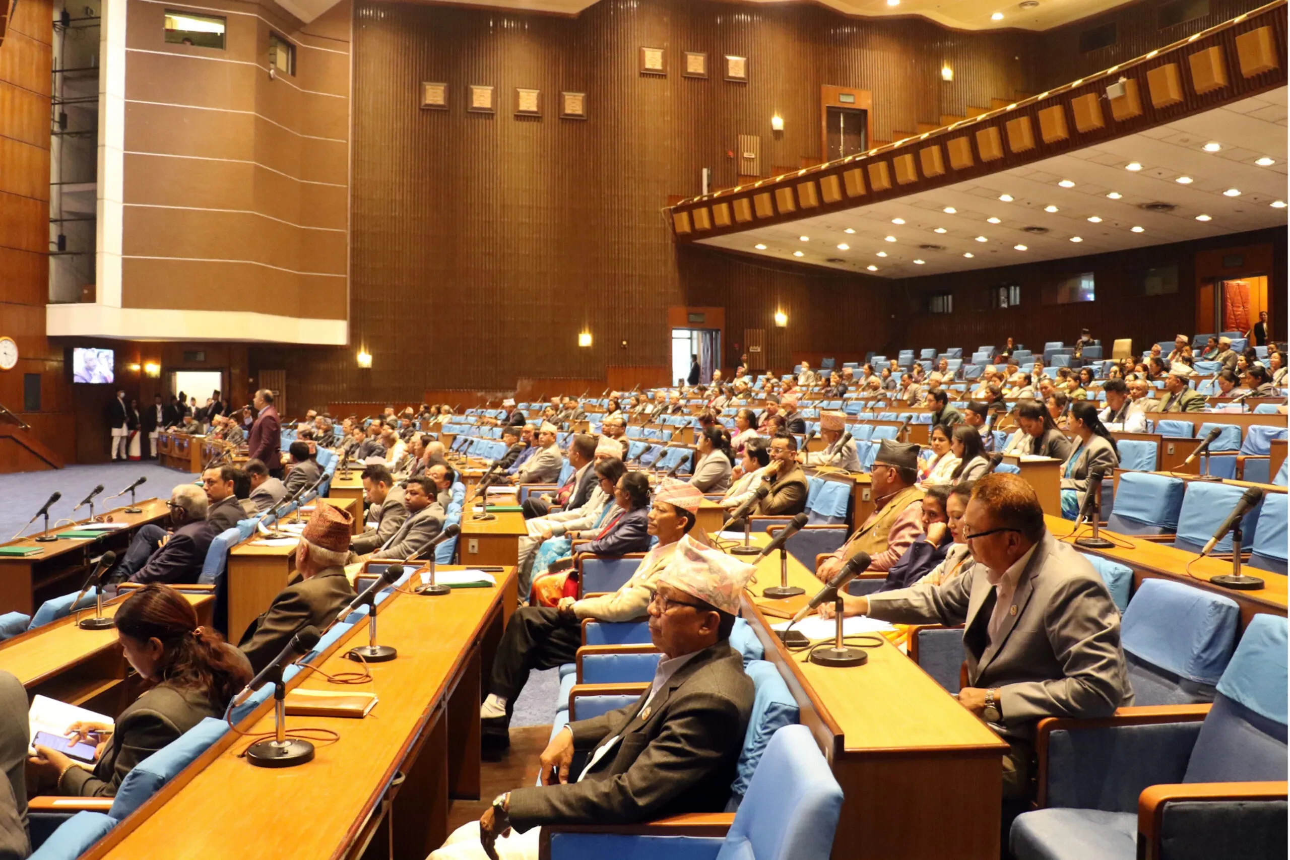 शरणार्थी प्रकरणः गम्भीर छानबिन माग सांसदको माग