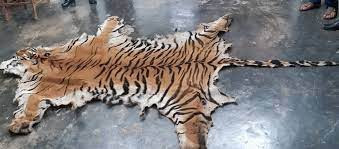 पाटेबाघको छाला र हड्डीसहित चारजना पक्राउ