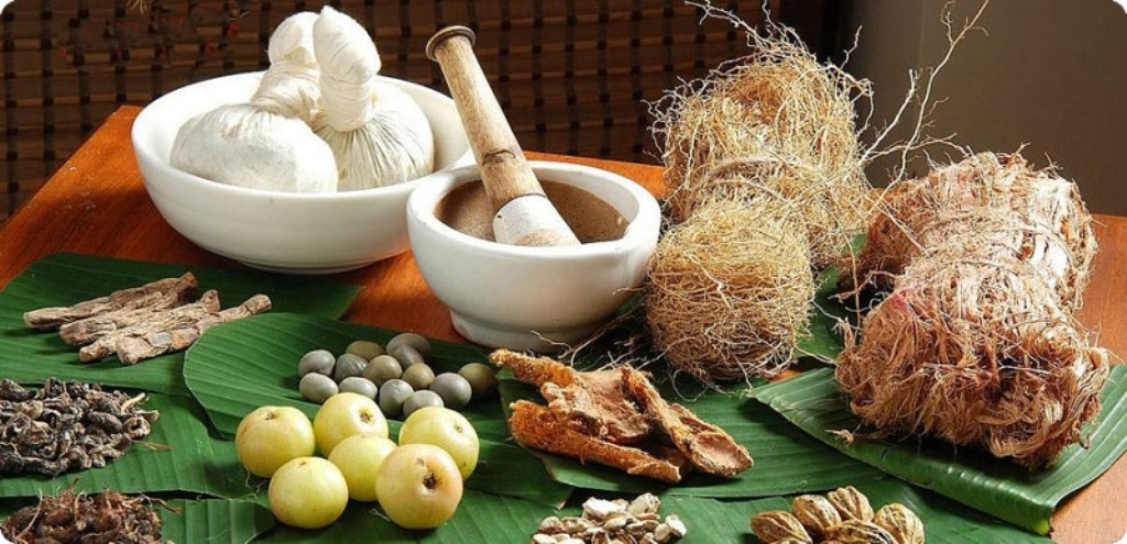 आयुर्वेद चिकित्साप्रति आकर्षण बढ्दै