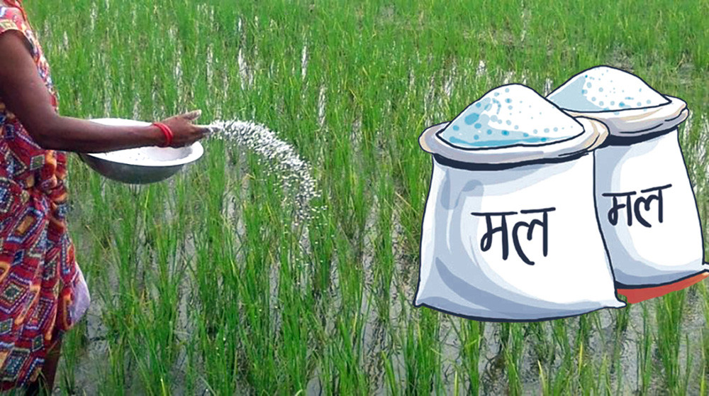 आगामी आवका लागि पाँच लाख मेट्रिक टन रासायनिक मल भित्र्याइने