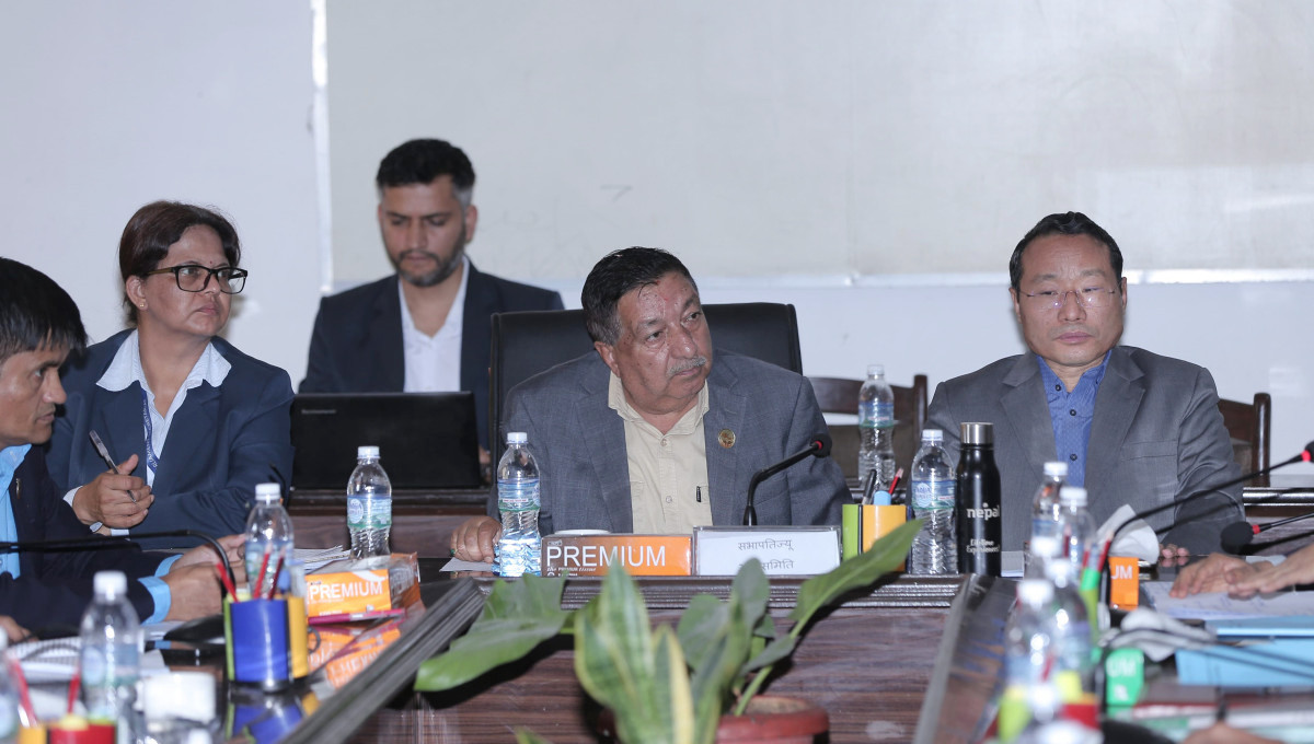 पहिले नेप्सेको पुनर्संरचना गरौँ, अर्को लाइसेन्स दिन हतार नगरौँ :वर्षमान पुन