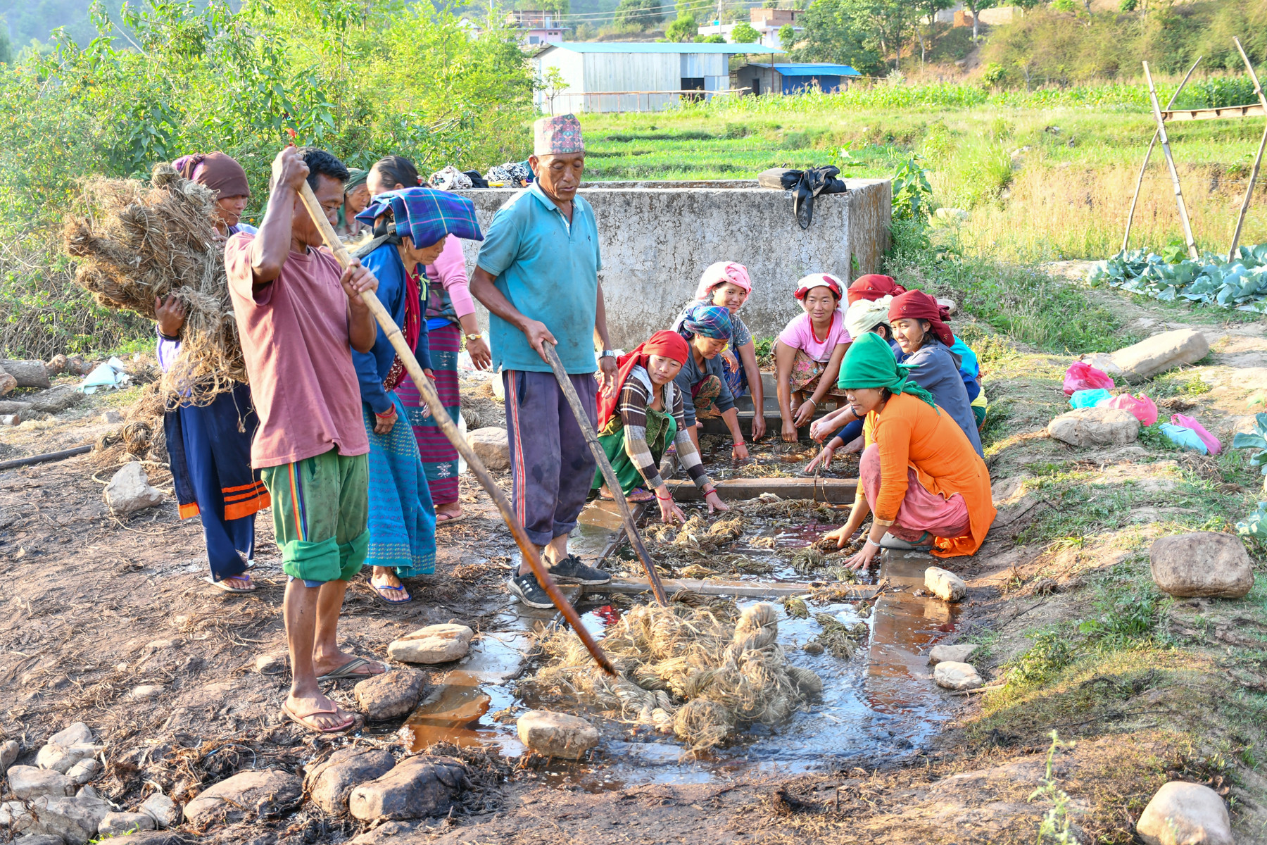 अल्लोको प्रशोधन गर्दै कामदार
