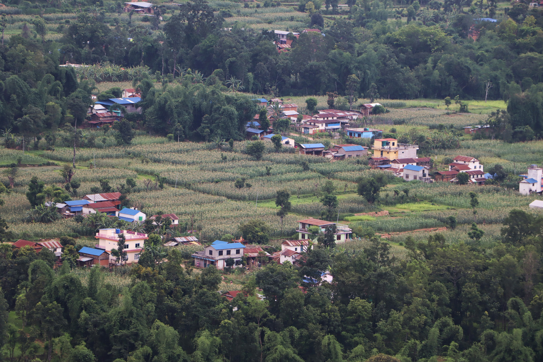 फलेवास बजार