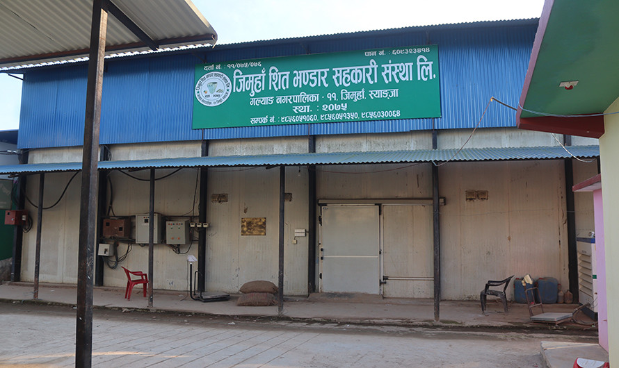 एउटै गाउँबाट साढे दुई करोडको आलु बीउ बिक्री