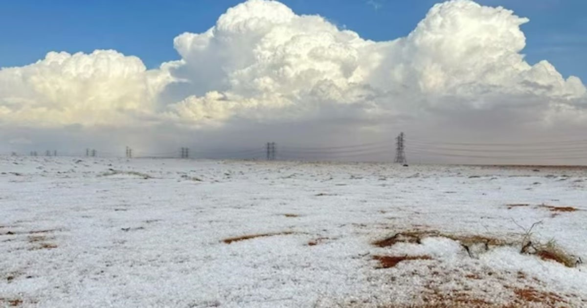 इतिहासमै पहिलोपटक साउदी अरबको मरुभूमिमा हिमपात