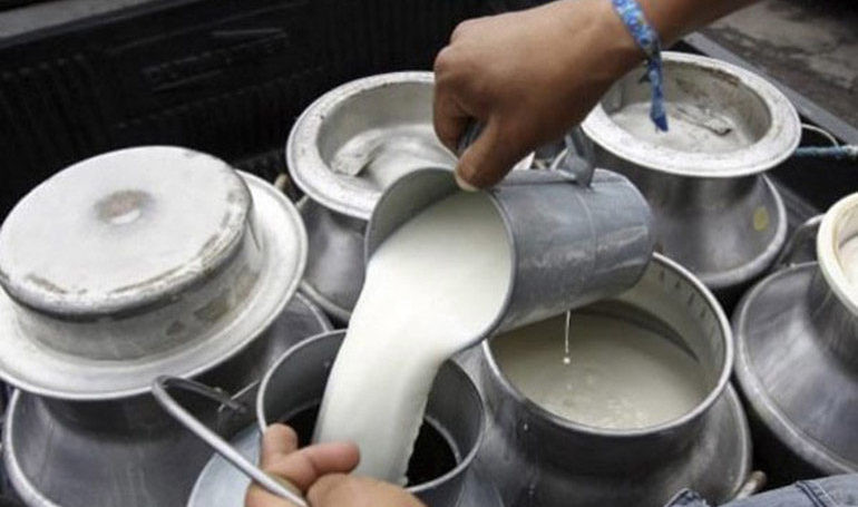 किसानलाई पाडापाडी हुर्काउन १६ लाख र दूधमा ३६ लाख अनुदान