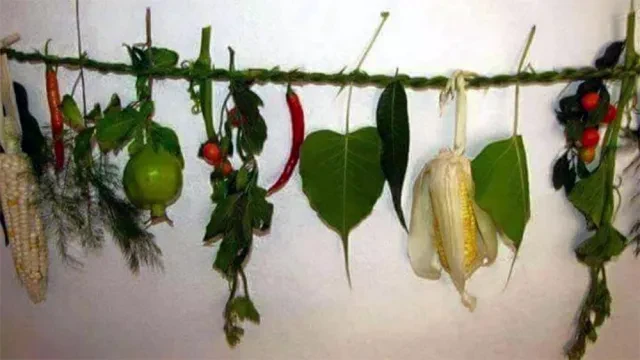 किरात समुदायले आज सिसेक्पा तङ्नाम मनाउँदै