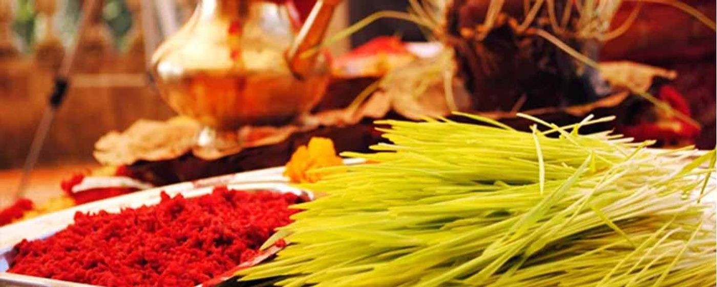 नवदुर्गाको प्रसाद र आशीर्वाद थाप्ने क्रम निरन्तर