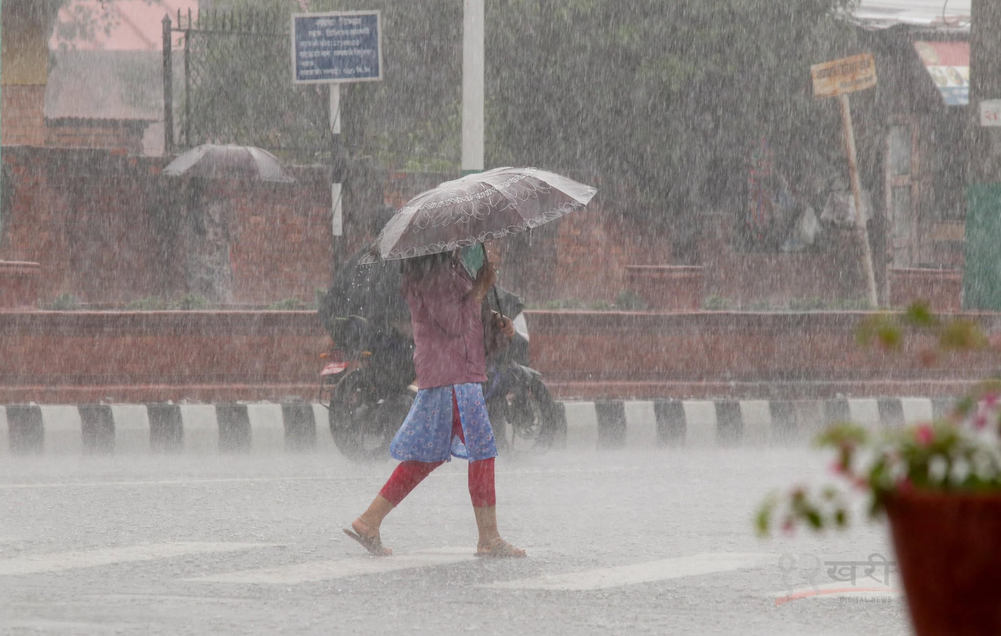 यस वर्षको मनसुन नेपालका सबै भू–भागबाट बाहिरियो