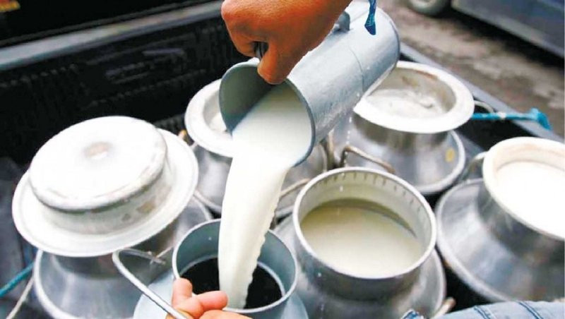दूध उत्पादन एक दशमलव चार प्रतिशतले वृद्धि