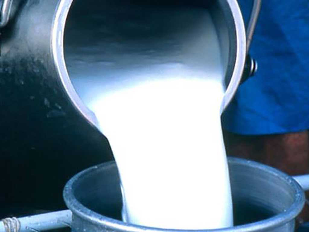 दुग्ध उत्पादक किसानलाई नगरपालिकाको अनुदान