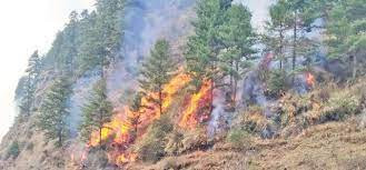 म्याग्दीमा  आगलागीबाट ७० हेक्टर वन क्षेत्र क्षति