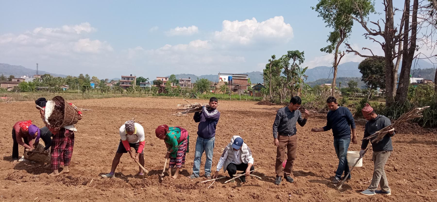 उखु खेती शुरु