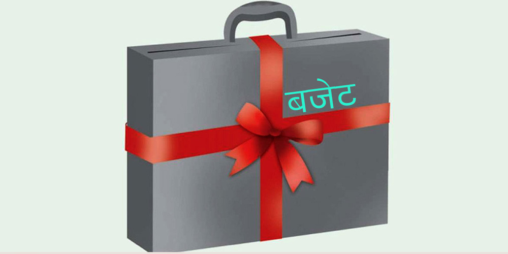 यथार्थपरक बजेट ल्याउन विज्ञको सुझाव