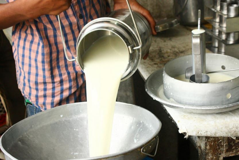 धनकुटाका दुई हजार पाँच सय बढी दुग्ध किसानलाई प्रोत्साहन