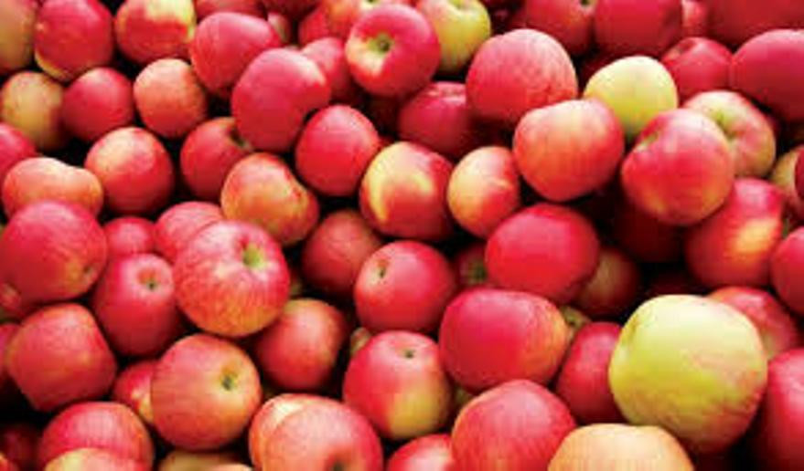 मुस्ताङमा स्याउ सङ्कलन तथा चिस्यान केन्द्र निर्माण हुँदै