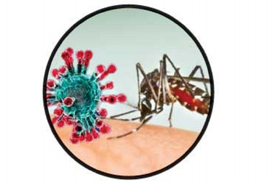 काभ्रेमा पुनः डेङ्गु र कोरोना सङ्क्रमण