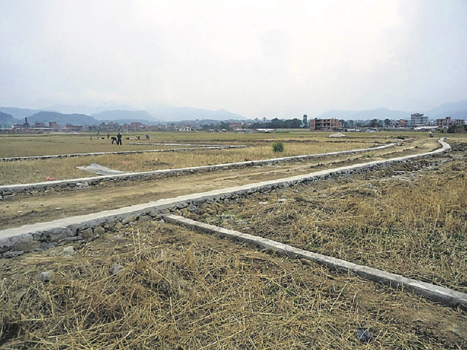 अनुमति नलिई घरजग्गा व्यवसाय गरे ६ महिना कैद