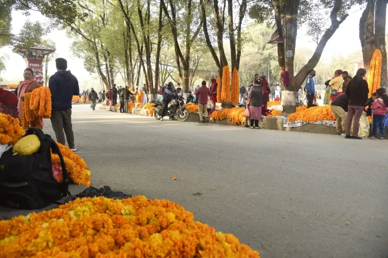 जथाभावी फूलको माला बेच्नेलाई आफ्नै गाडीमा राखेर तोकिएको स्थानमा पुर्‍याउँदै महानगर