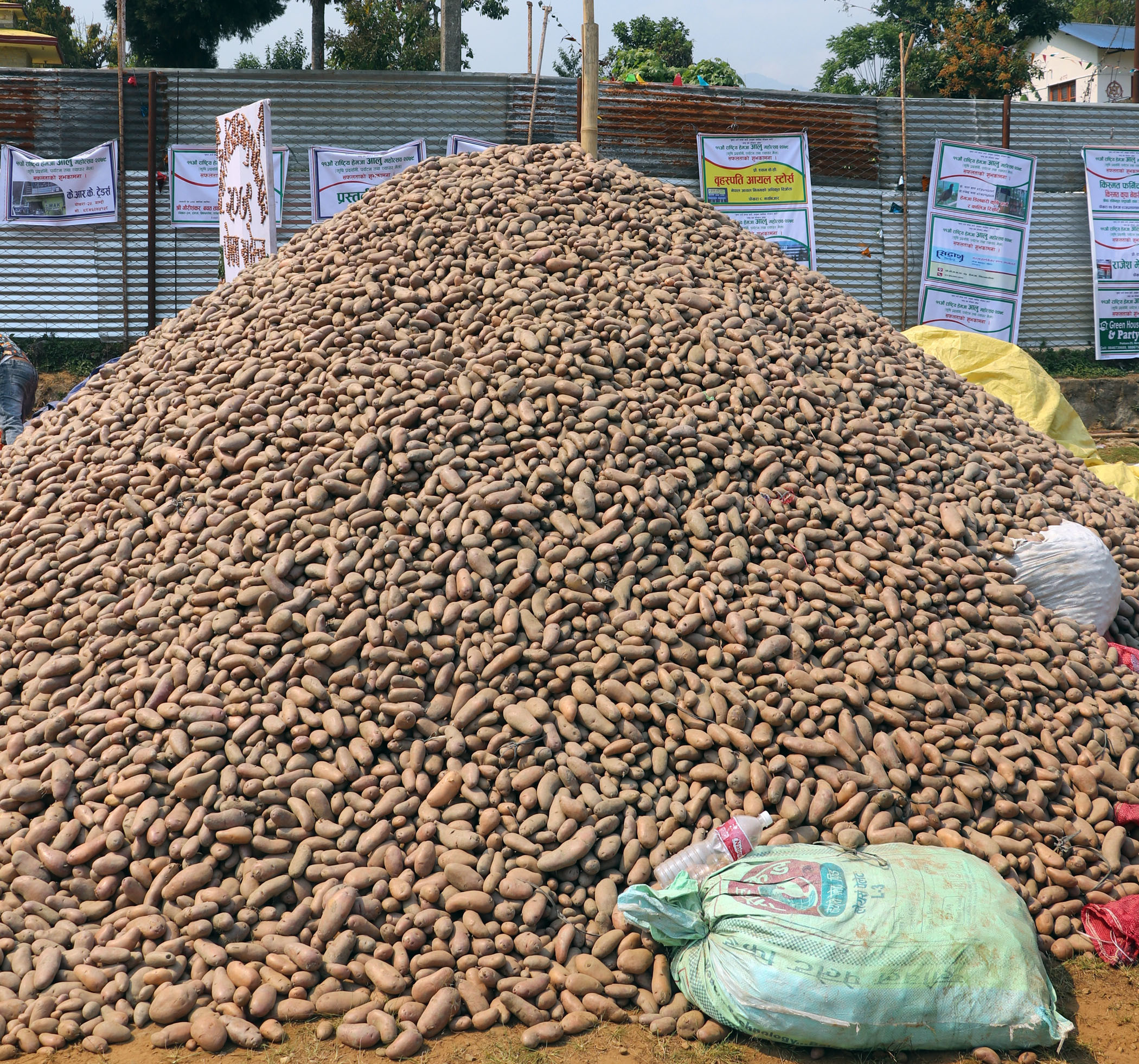 आलुको पहाड