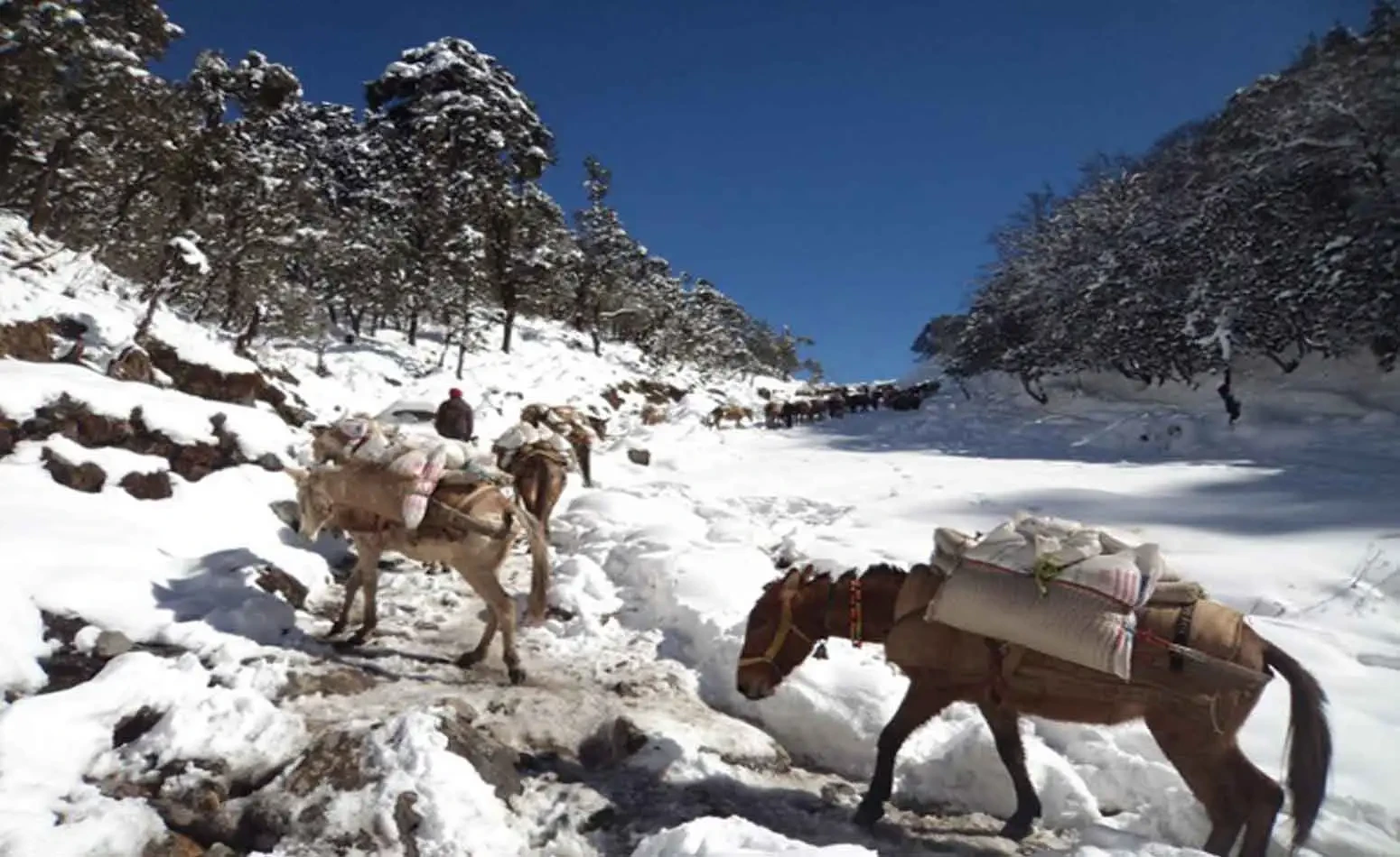 आजको मौसम : उच्च पहाडी तथा हिमाली भूभागमा हिमपातको सम्भावना