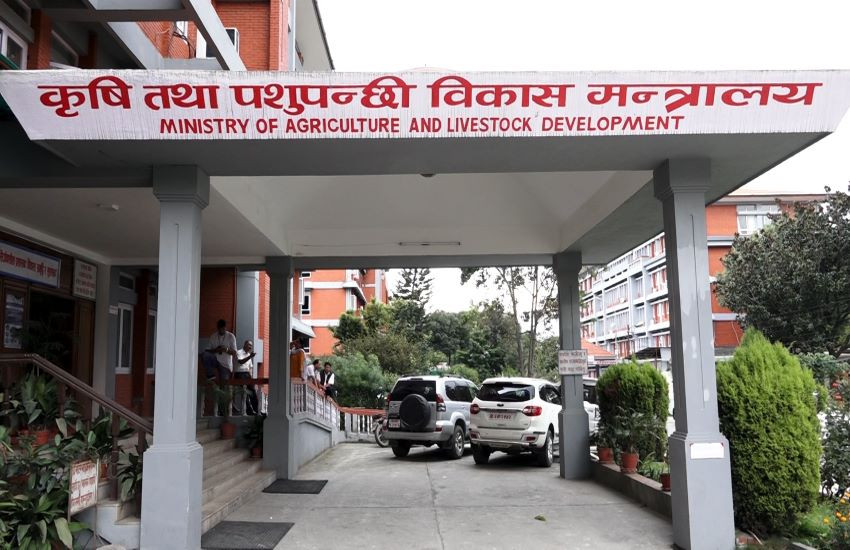 वर्षाका कारण देशभर कृषि तथा पशुपालनका क्षेत्रमा भएको क्षतिको विवरण सङ्कलन शुरू