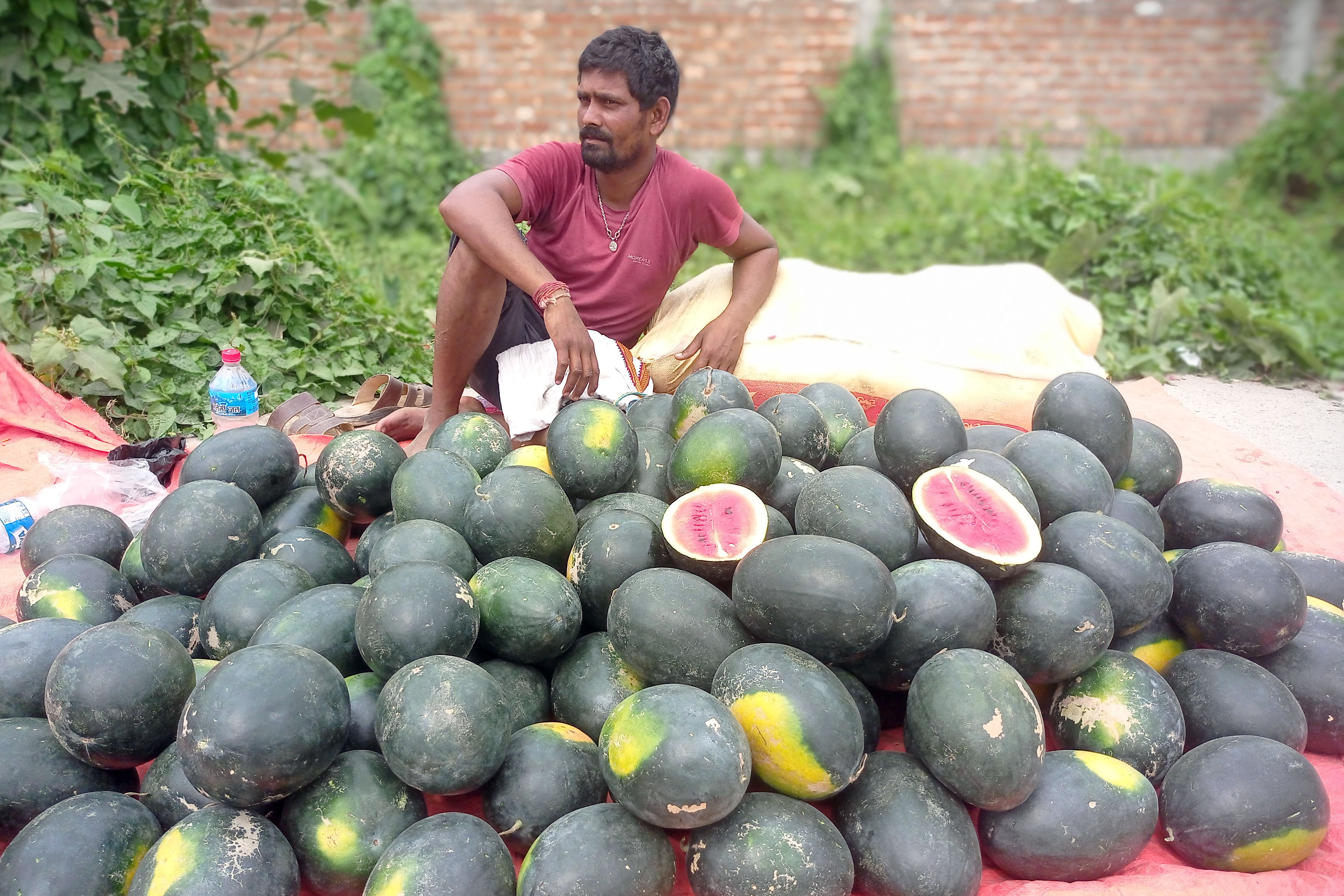 सुनसरीको इनरुवामा खरबुजा बिक्री गर्न बसेका व्यापारी