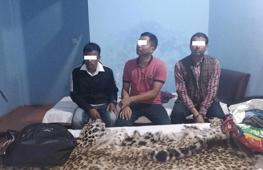 होटलमा छापा मार्दा चितुवाको छाला र ६ किलो चरेश फेला, प्रहरी हवल्दारसहित ३ जना पक्राउ